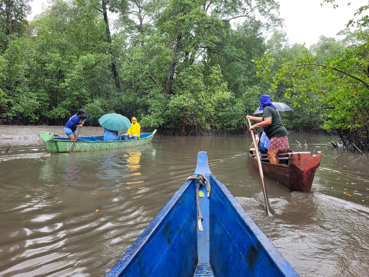 WhatsApp Image 2025-07-28 at 12.15.08