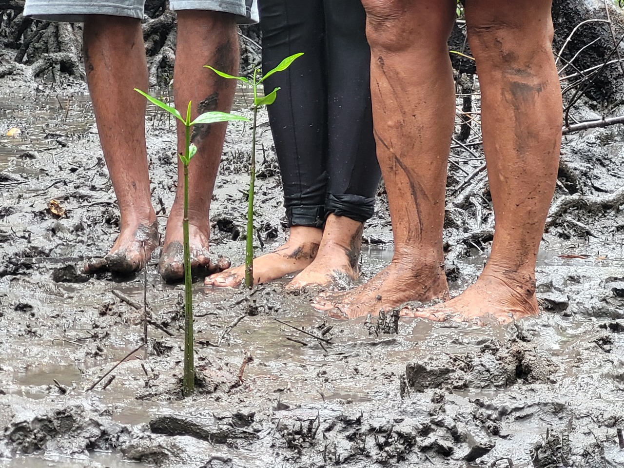 WhatsApp Image 2025-07-28 at 12.15.10 (4)