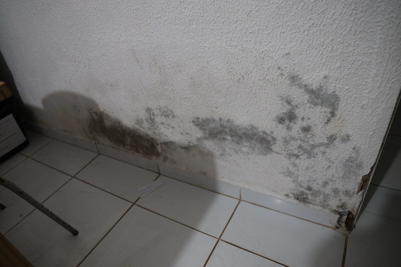 WhatsApp Image 2025-08-20 at 22.55.29 (4)