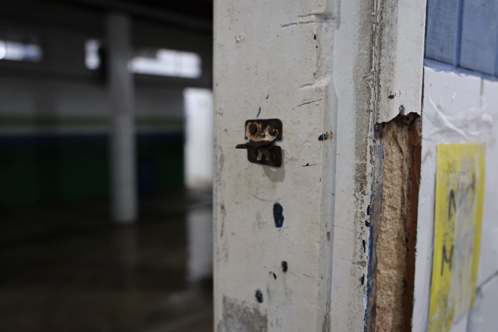 WhatsApp Image 2025-08-20 at 22.55.31 (1)