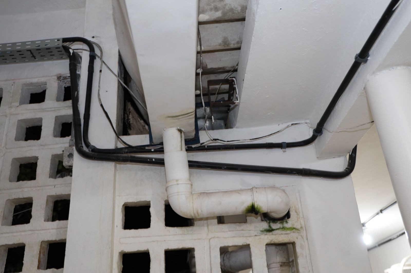 WhatsApp Image 2025-09-18 at 11.03.22 (1)