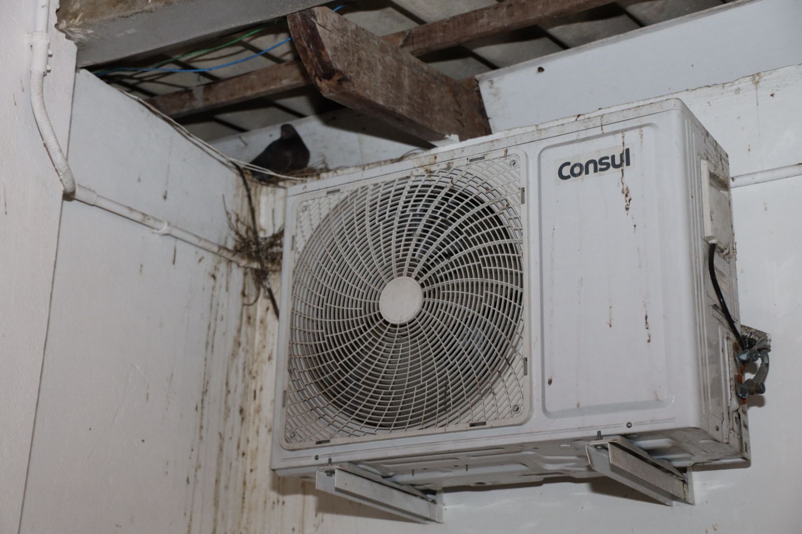 WhatsApp Image 2025-09-18 at 11.03.24 (2)