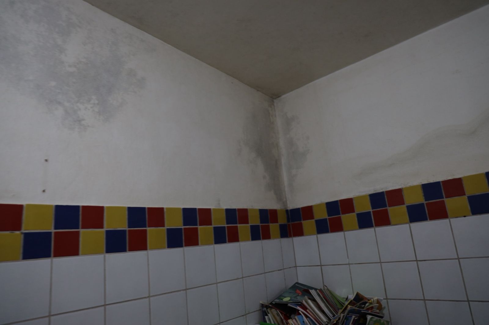 WhatsApp Image 2025-09-18 at 11.03.28