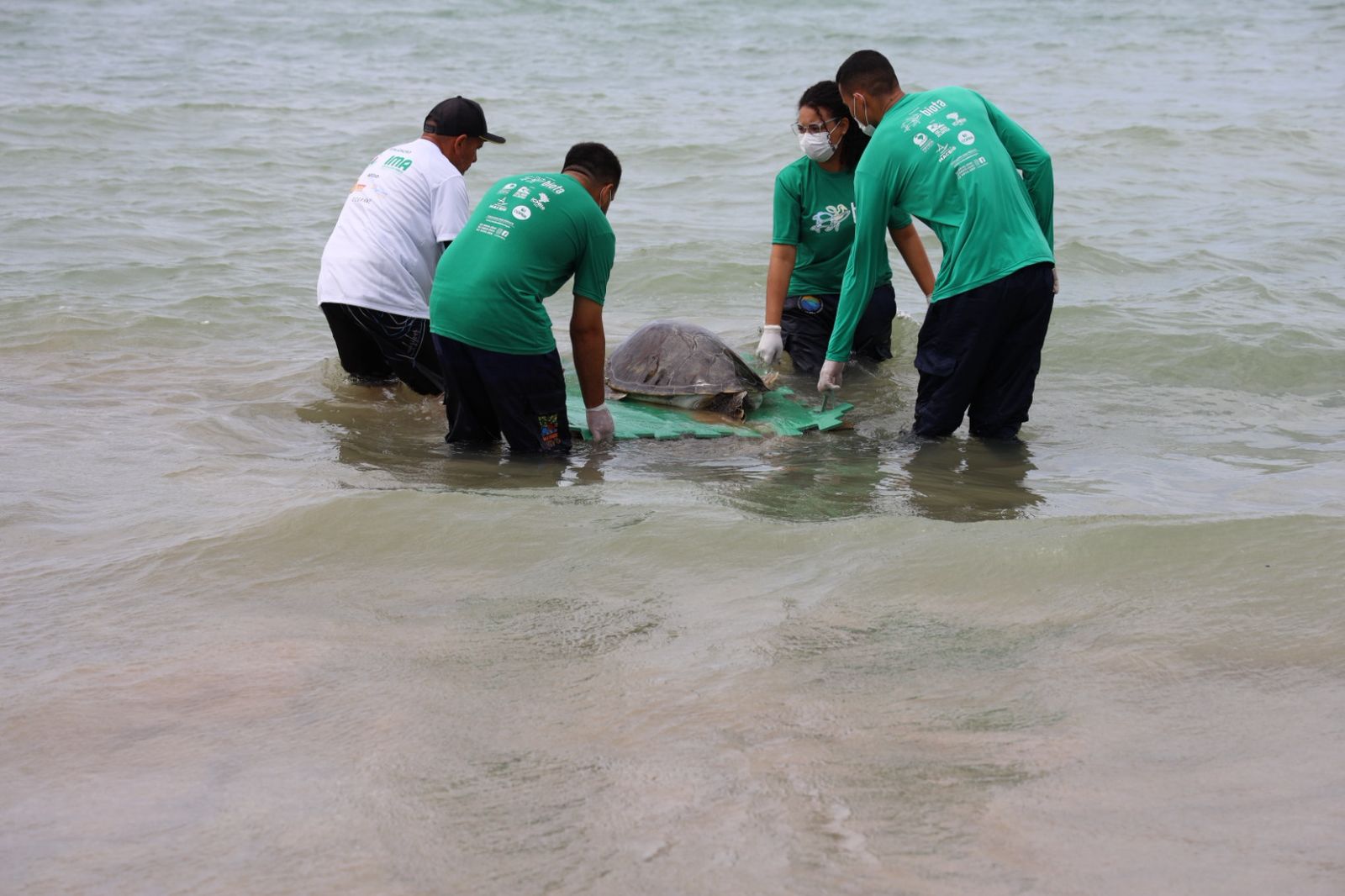 WhatsApp Image 2025-09-24 at 10.18.47