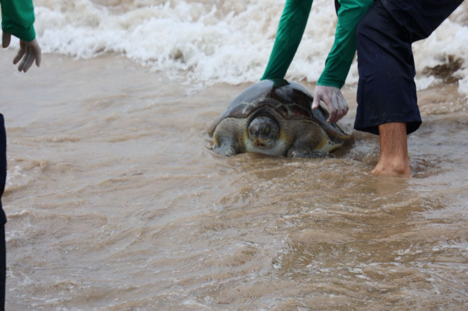 WhatsApp Image 2025-09-24 at 10.18.57 (3)