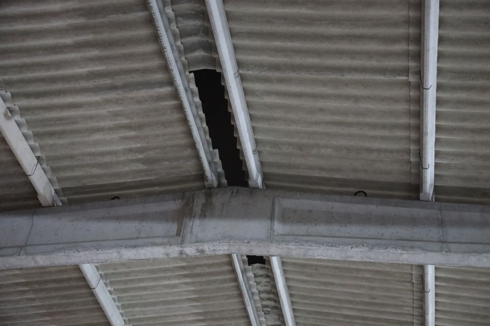 WhatsApp Image 2025-10-01 at 22.35.32 (4)