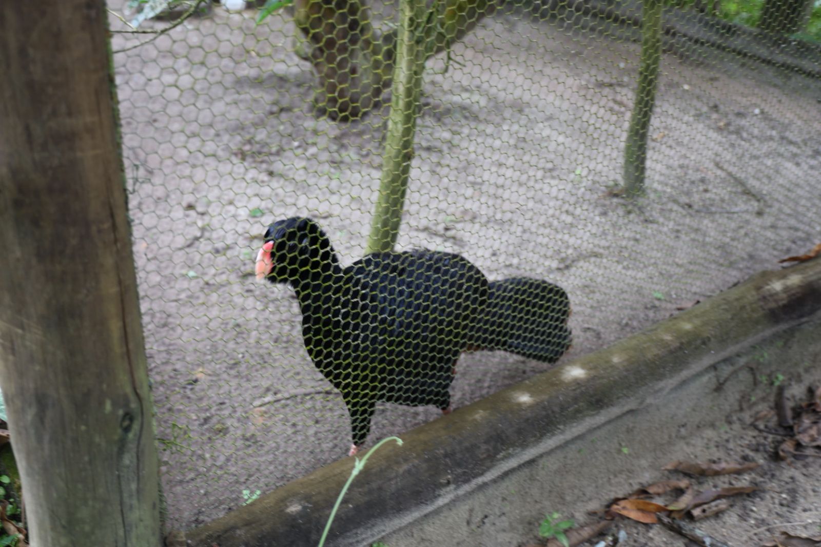 WhatsApp Image 2025-10-17 at 12.59.10 (2)