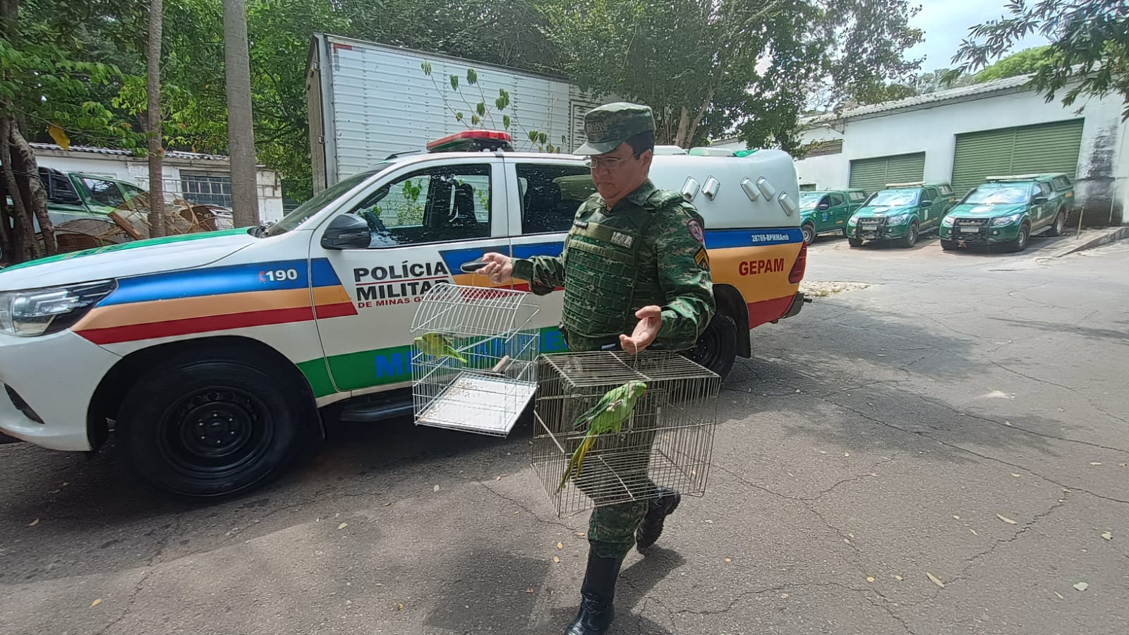 WhatsApp Image 2025-10-29 at 12.52.35