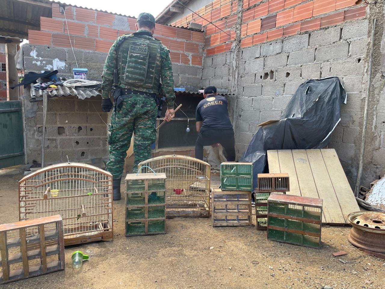 WhatsApp Image 2025-10-29 at 12.59.34 (1)