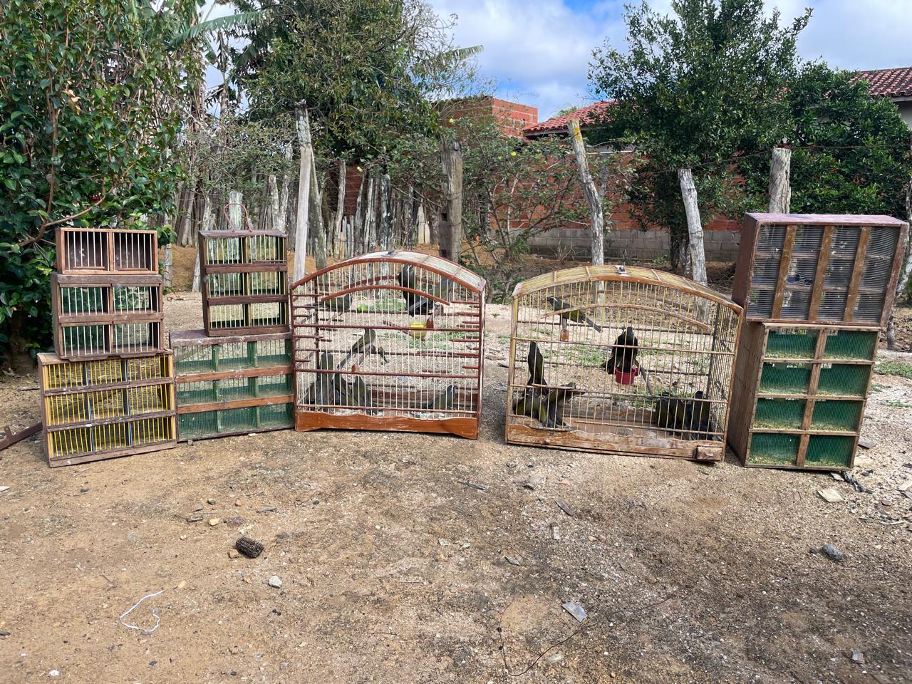 WhatsApp Image 2025-10-29 at 12.59.34 (2)