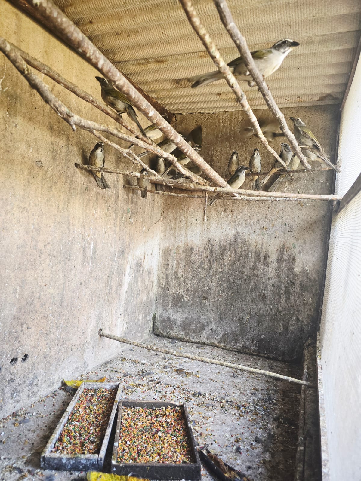 WhatsApp Image 2025-10-29 at 12.59.35