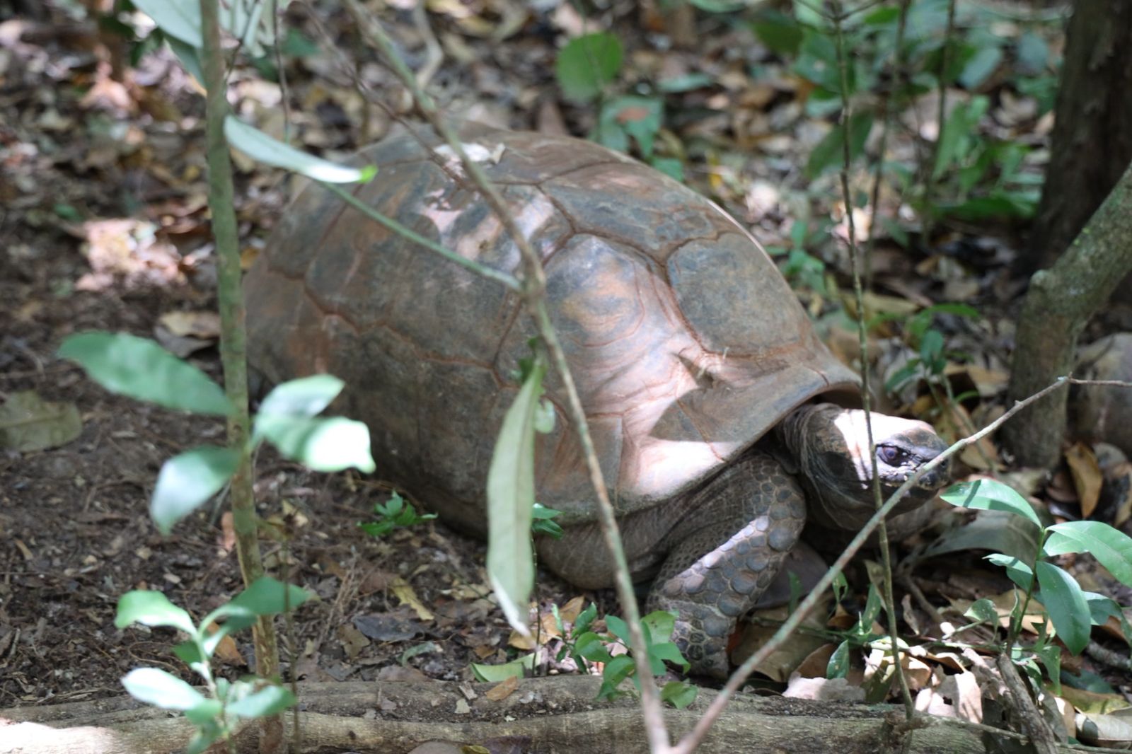 0256e4b1-feb6-4ded-85ec-a486288f51e0