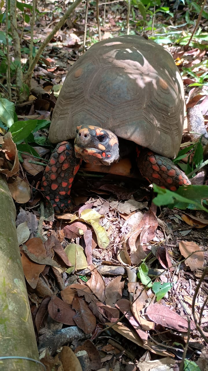 8c284f8c-394d-46d3-a302-793cd0bcd154 (1)