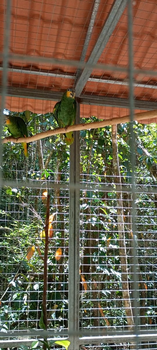 WhatsApp Image 2025-12-11 at 20.48.38 (1)