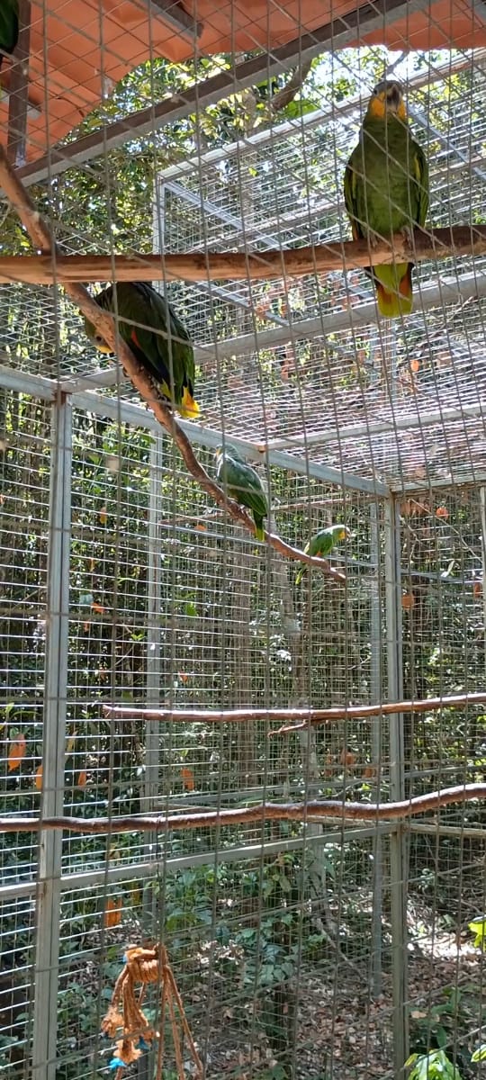 WhatsApp Image 2025-12-11 at 20.48.38 (2)