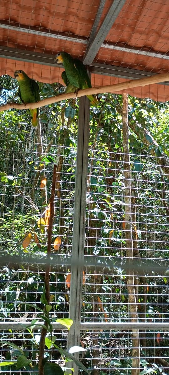 WhatsApp Image 2025-12-11 at 20.48.38