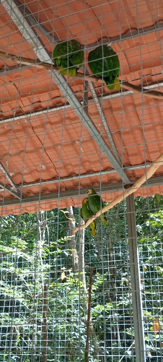 WhatsApp Image 2025-12-11 at 20.48.39 (2)