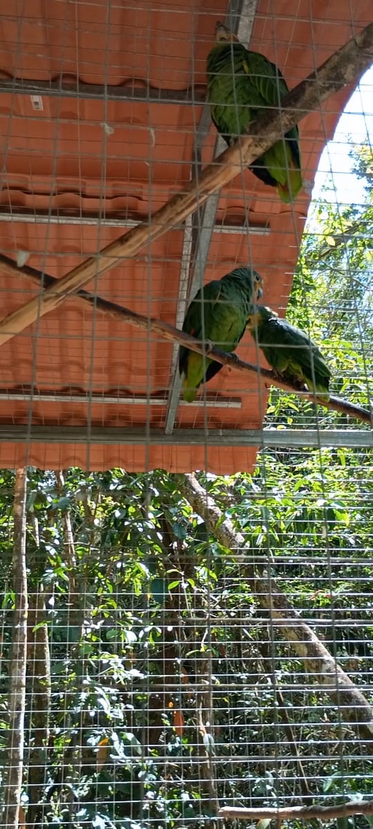 WhatsApp Image 2025-12-11 at 20.48.39