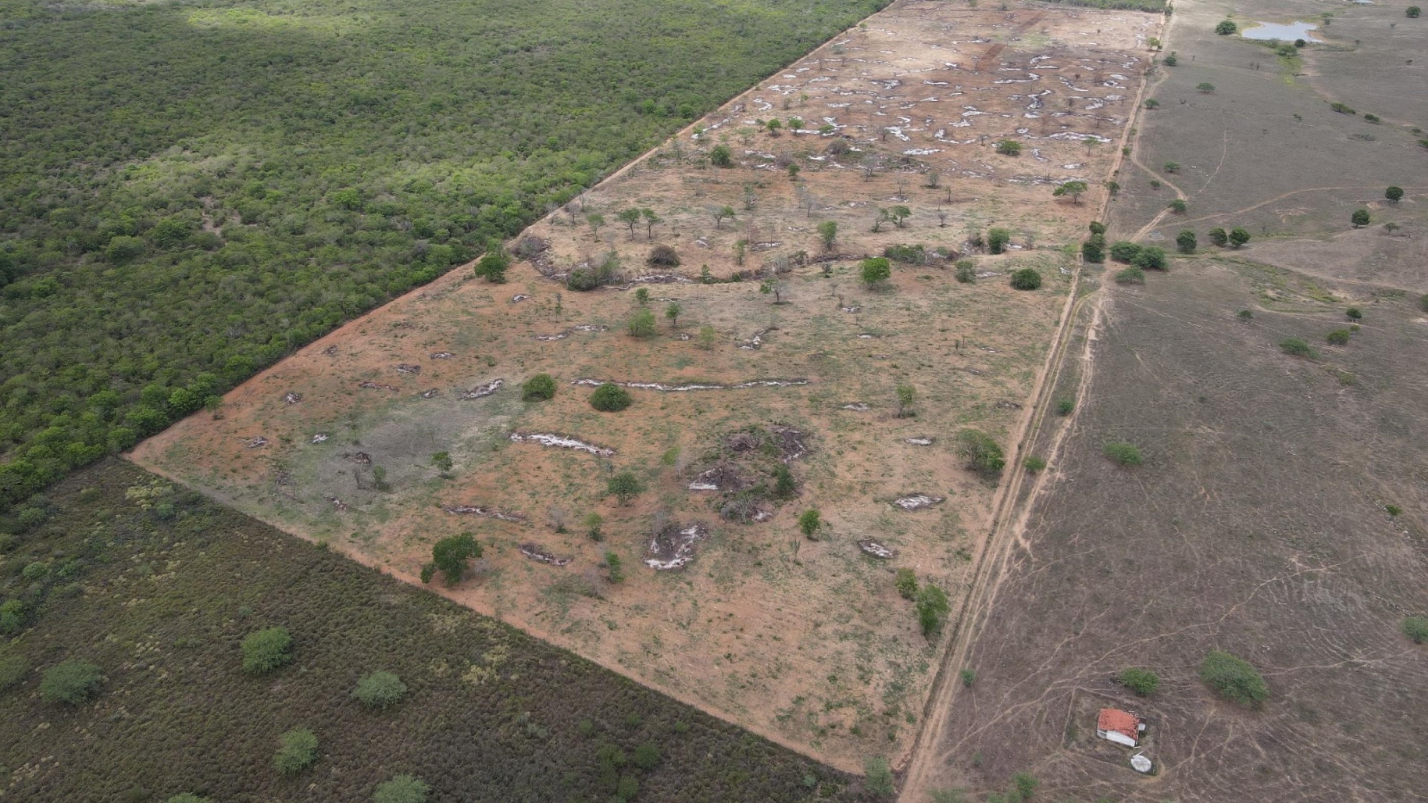 MPAL firma acordos para recuperação de áreas de Caatinga degradadas em Traipu e pagamento de R$ 210 mil em indenizações