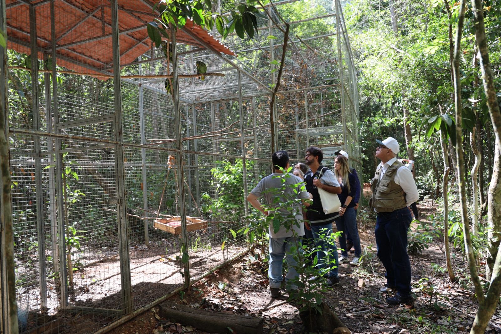 d0bf28d7-7595-464e-9ab7-d479548492e5