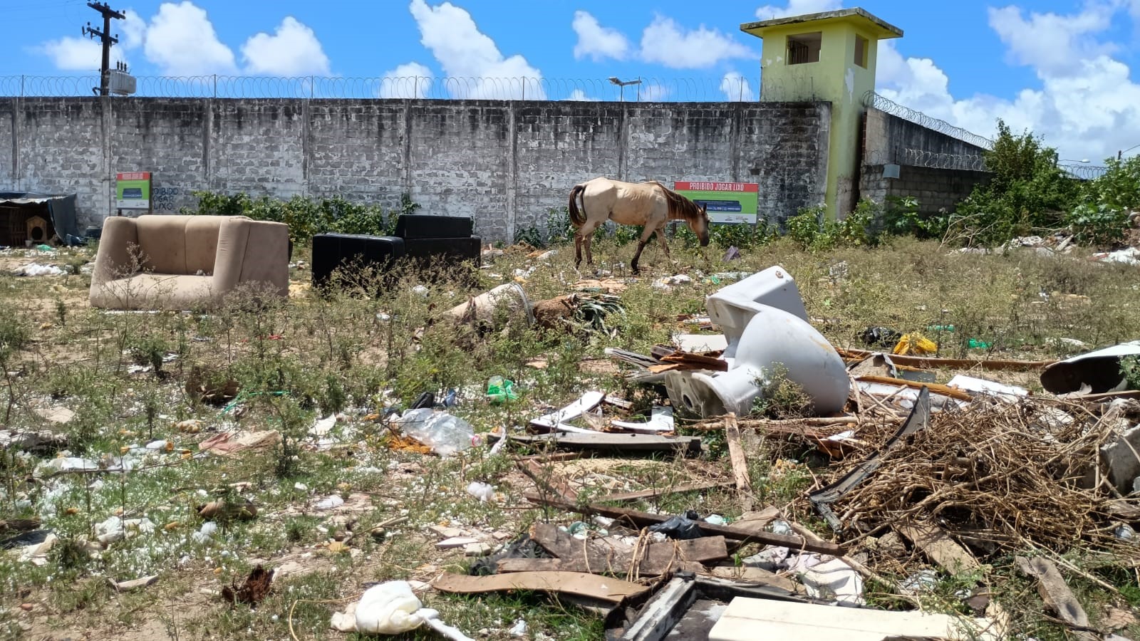 MPAL vistoria terreno e constata lixo, entulho de obras, cães, cavalos, espaços ocupados e risco de proliferação de vetores