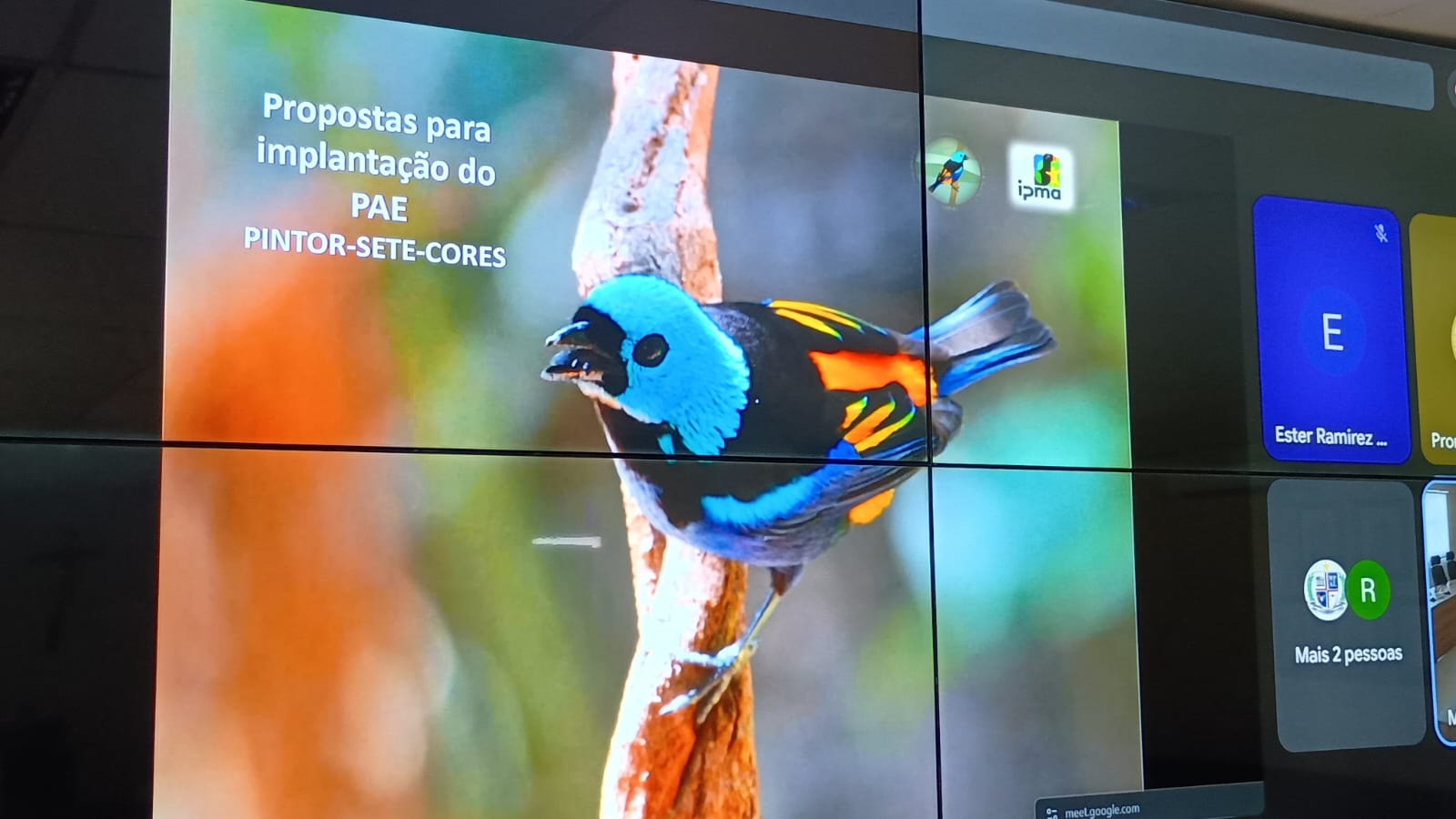 WhatsApp Image 2026-02-02 at 16.19.57 (1)