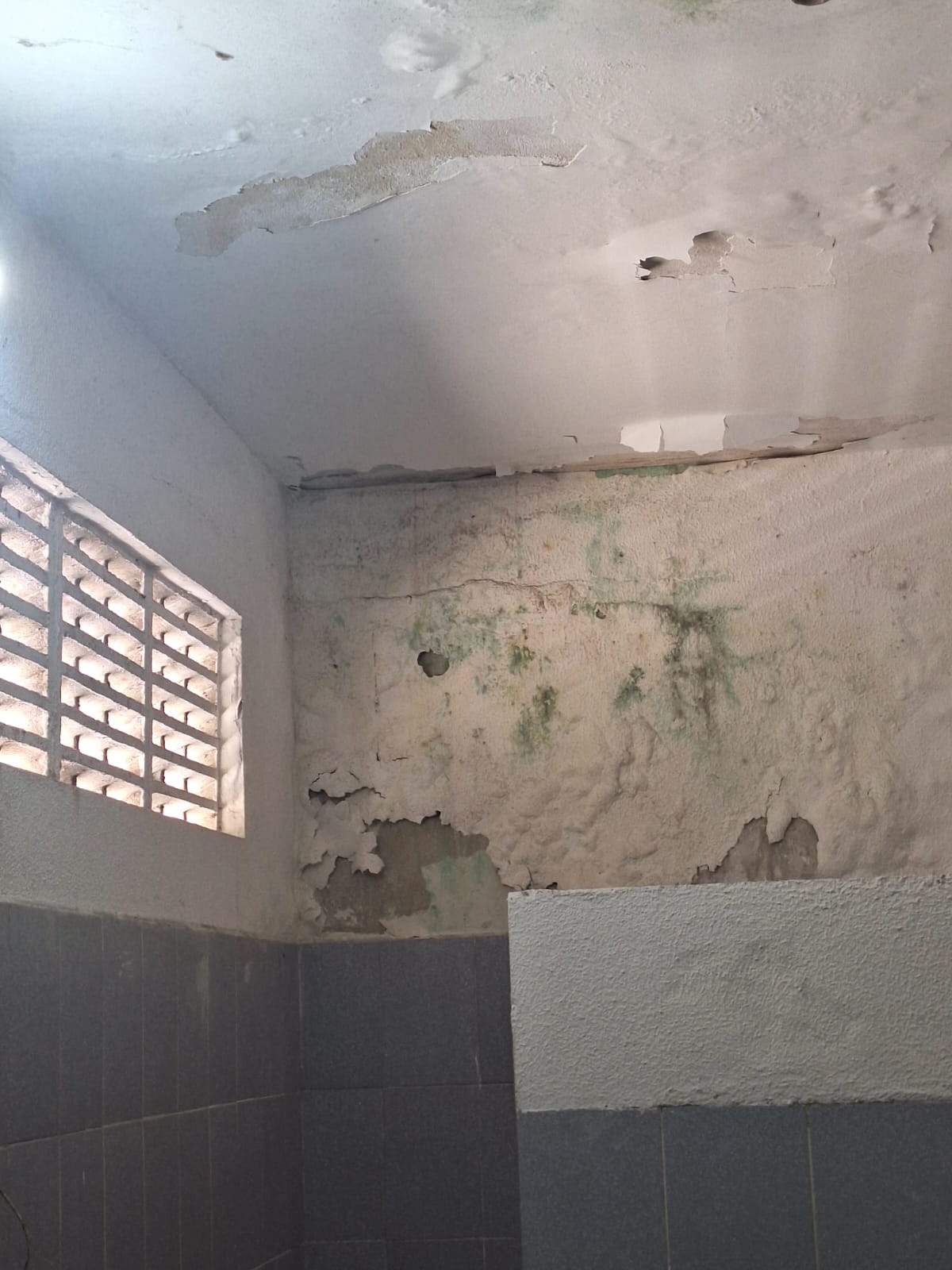 WhatsApp Image 2026-03-30 at 13.41.29