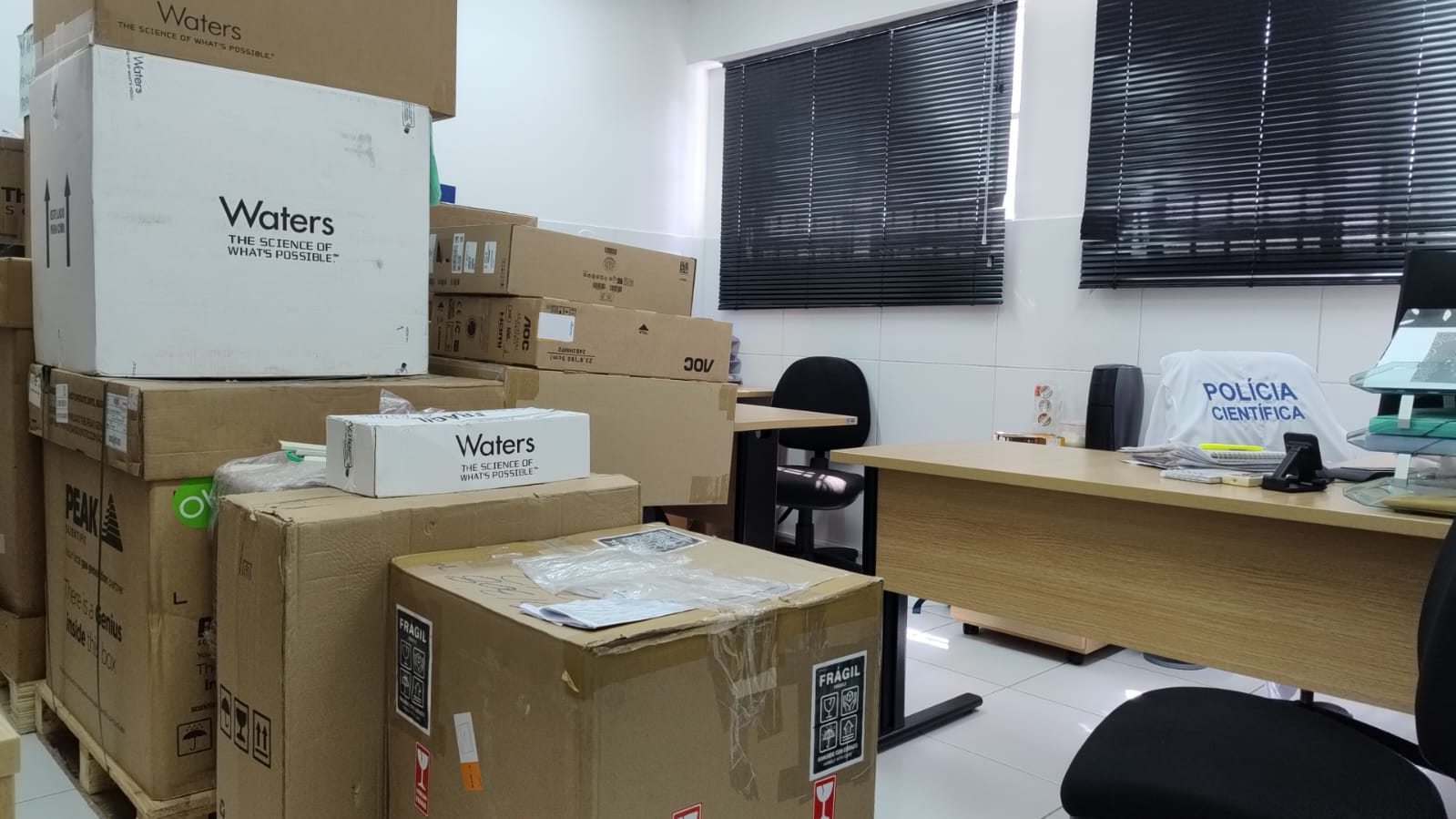 WhatsApp Image 2026-03-30 at 13.41.31 (1)