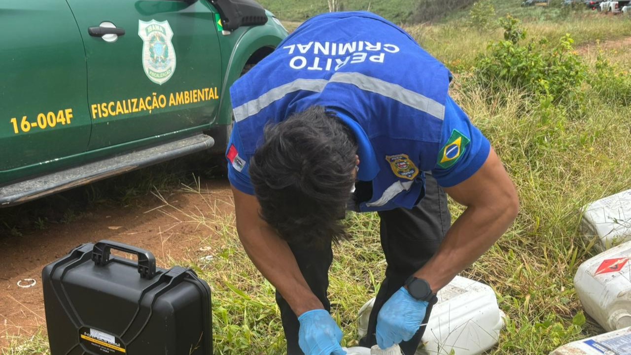 desmatamento 7