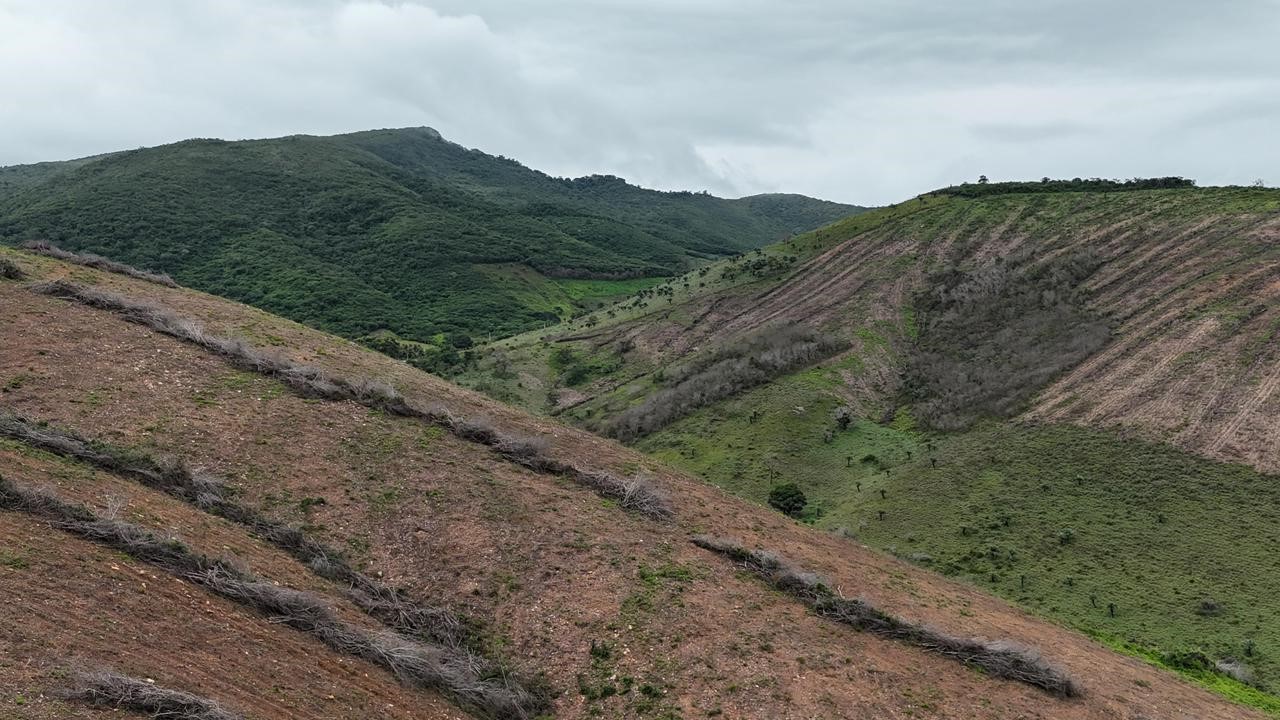 desmatamento Traipu2