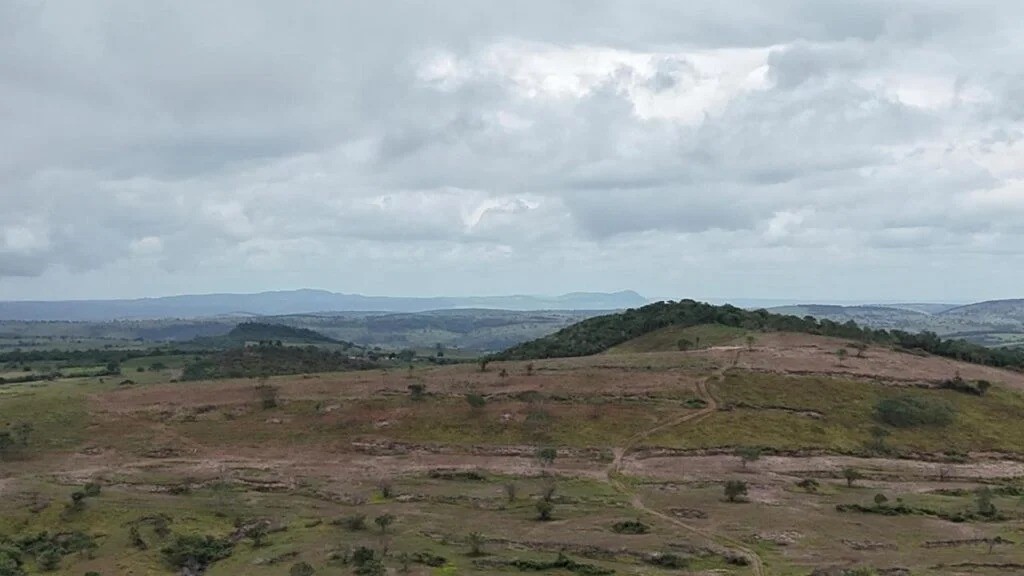 Pelo Meio Ambiente: Ação coordenada resulta na prisão do maior desmatador da Caatinga em Alagoas