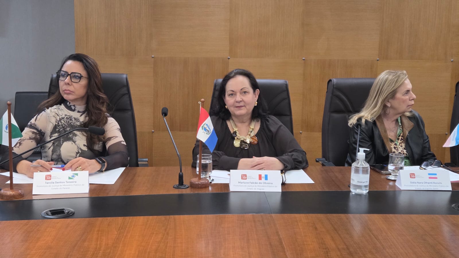 MPAL debate direitos de órfãos do feminicídio e de pessoas desaparecidas em reunião do Comitê Ministerial de Defesa dos Direitos das Vítimas em Minas Gerais